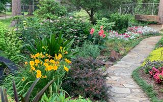 allée de jardin et plantes